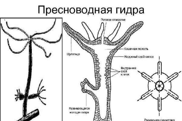 Зайти на кракен без тора