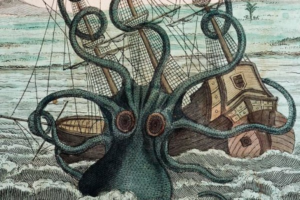 Kraken площадка