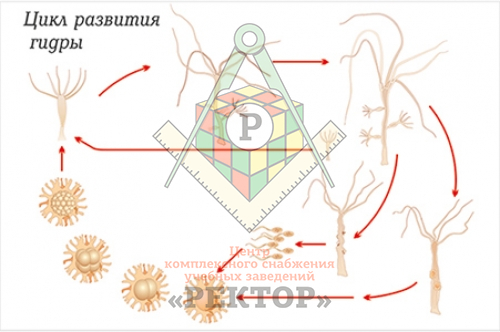 Нарко маркетплейс